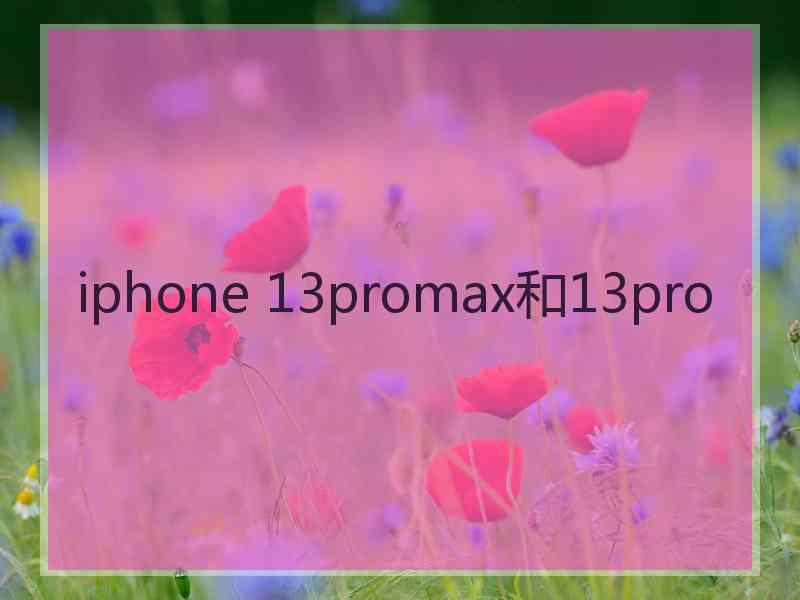 iphone 13promax和13pro