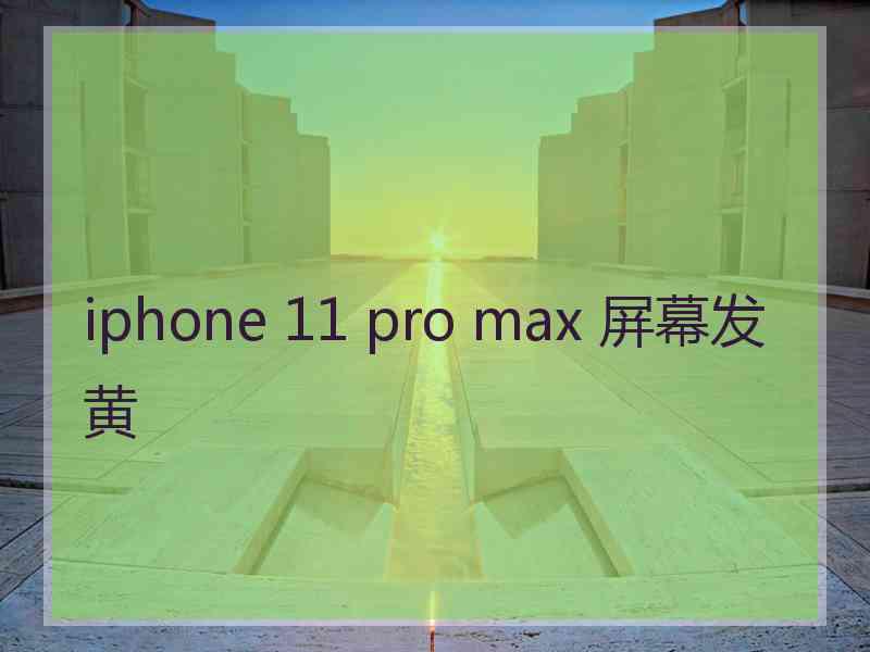 iphone 11 pro max 屏幕发黄