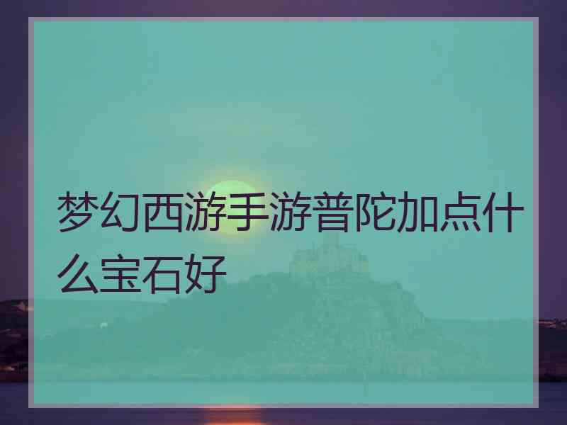 梦幻西游手游普陀加点什么宝石好