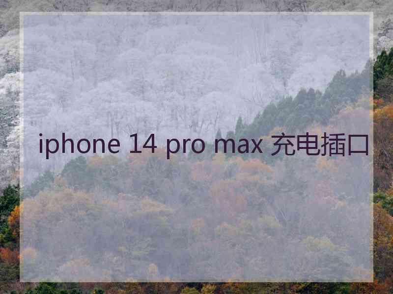 iphone 14 pro max 充电插口