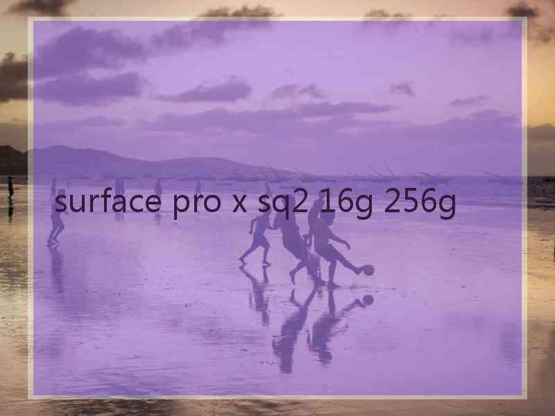 surface pro x sq2 16g 256g