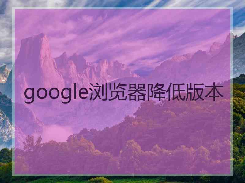 google浏览器降低版本