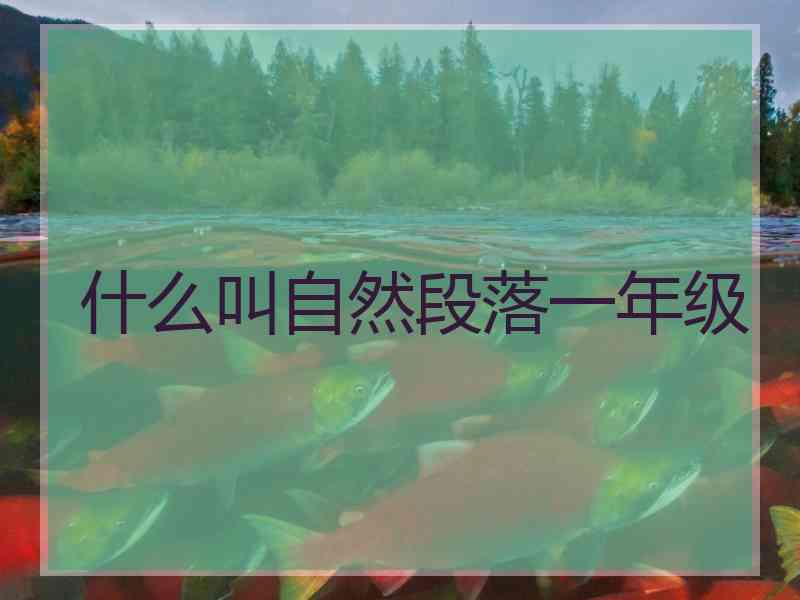 什么叫自然段落一年级