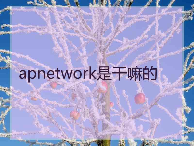 apnetwork是干嘛的