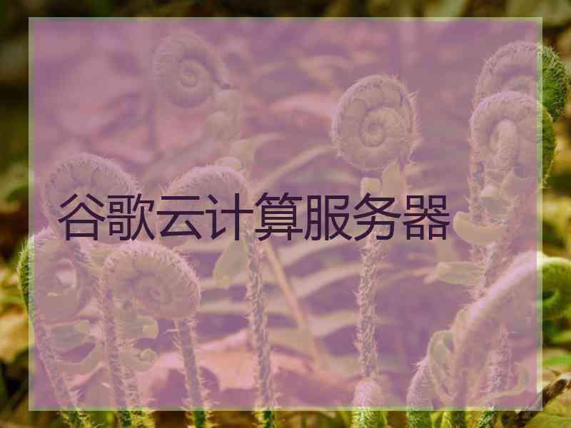 谷歌云计算服务器