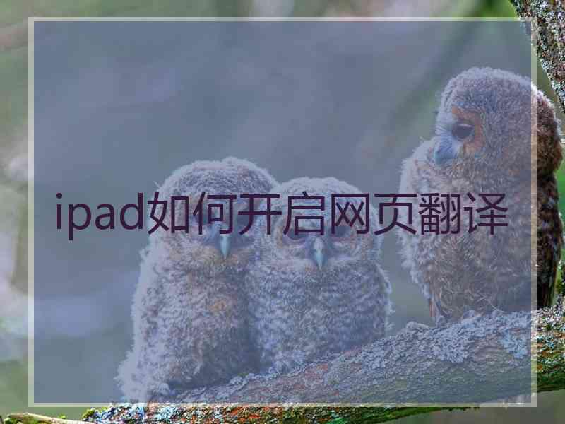 ipad如何开启网页翻译