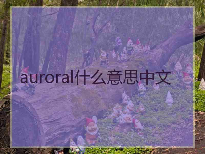 auroral什么意思中文