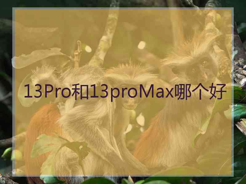 13Pro和13proMax哪个好