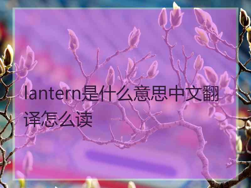 lantern是什么意思中文翻译怎么读