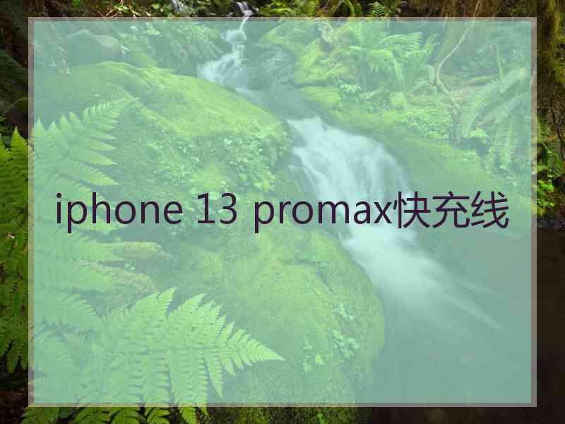 iphone 13 promax快充线