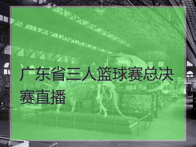 广东省三人篮球赛总决赛直播