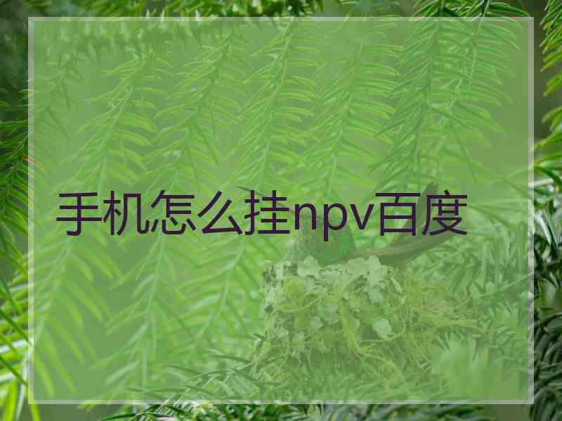 手机怎么挂npv百度