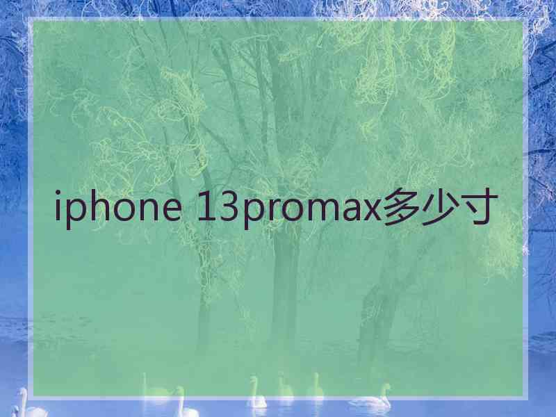 iphone 13promax多少寸