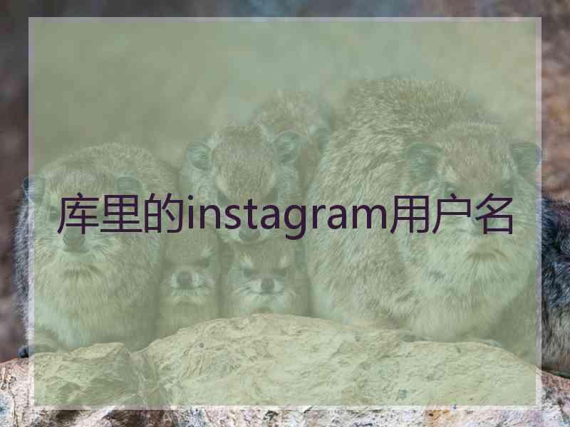 库里的instagram用户名