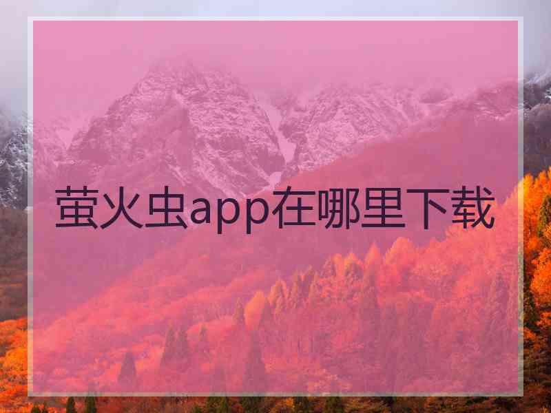 萤火虫app在哪里下载