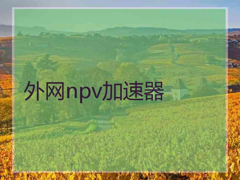 外网npv加速器