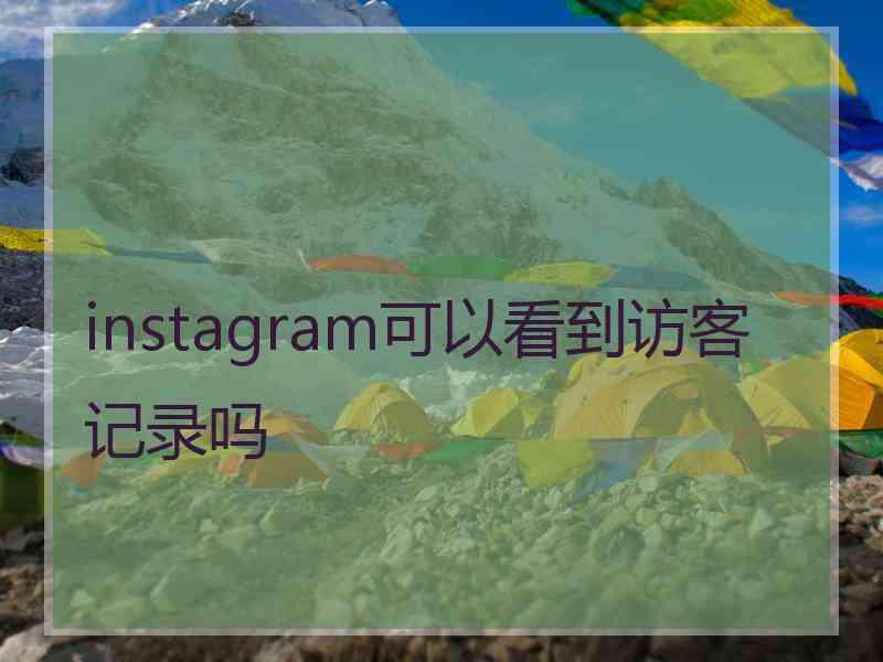 instagram可以看到访客记录吗