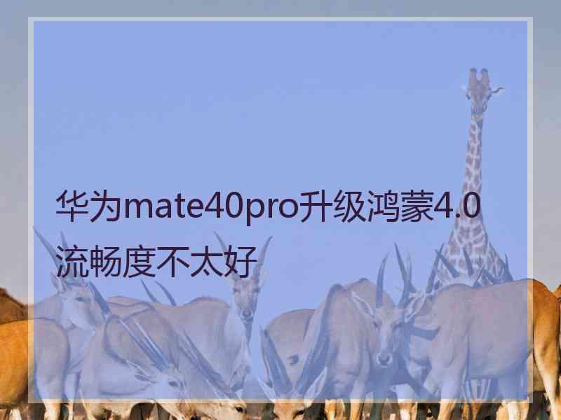 华为mate40pro升级鸿蒙4.0流畅度不太好