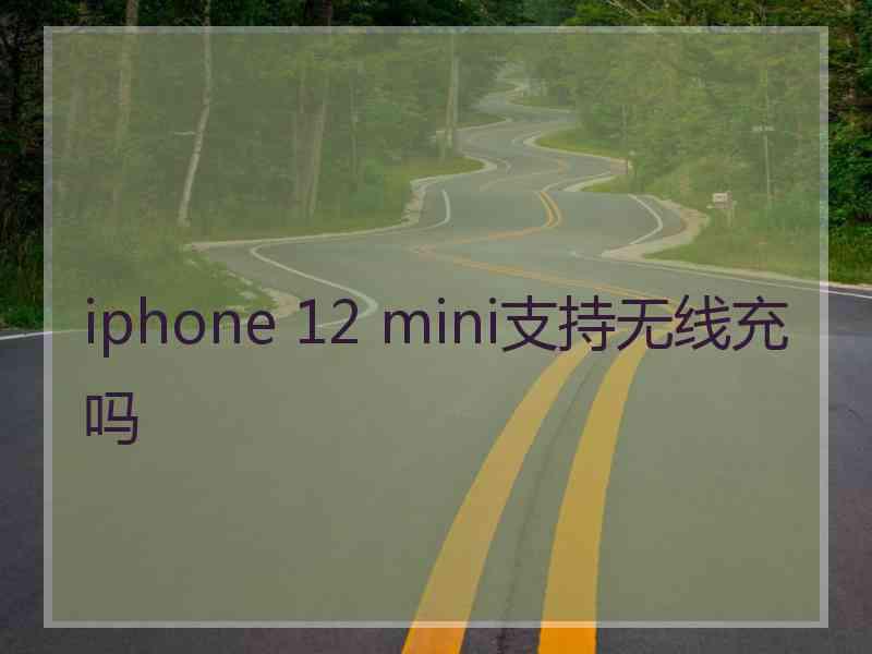 iphone 12 mini支持无线充吗