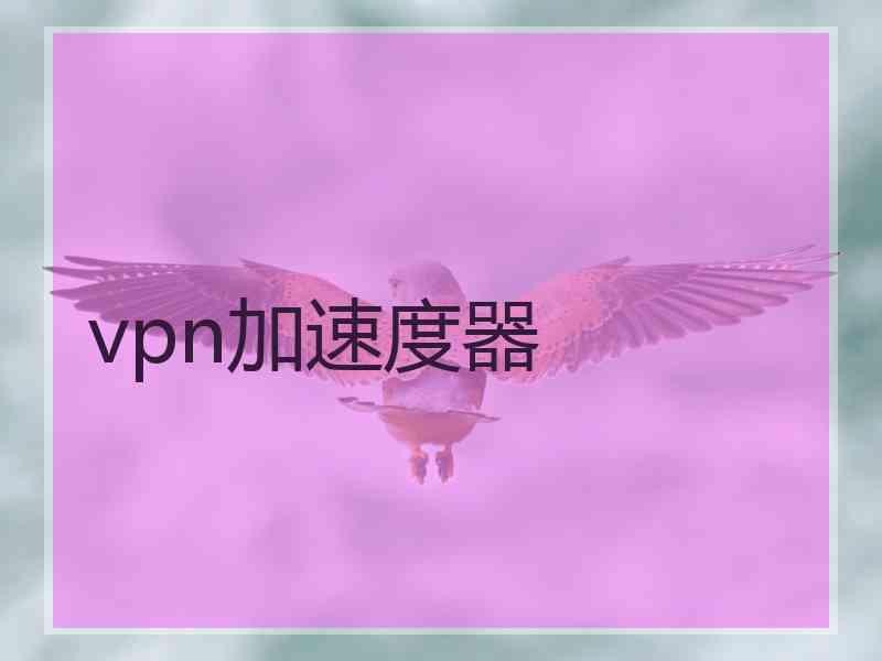 vpn加速度器