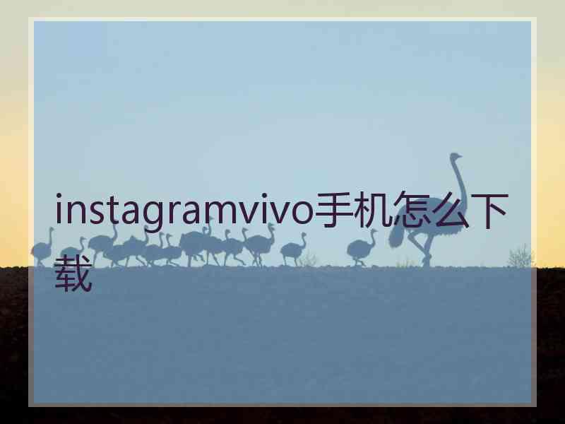 instagramvivo手机怎么下载