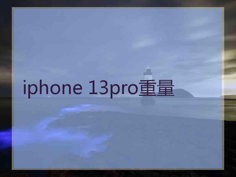 iphone 13pro重量