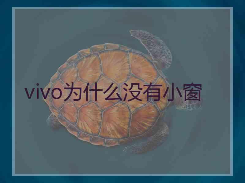 vivo为什么没有小窗