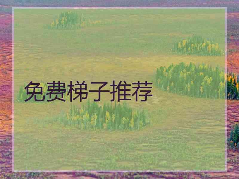 免费梯子推荐