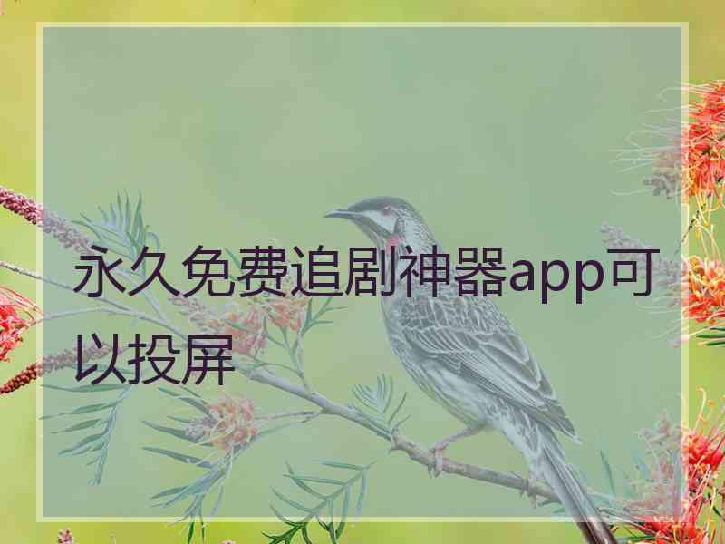 永久免费追剧神器app可以投屏