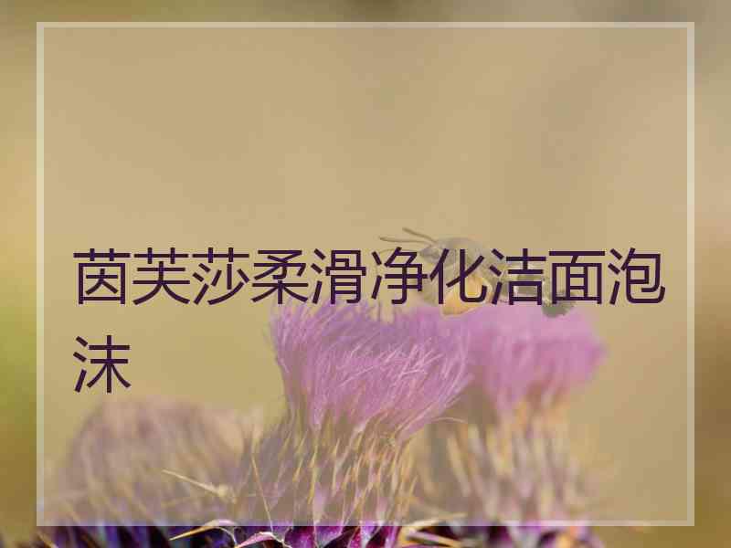 茵芙莎柔滑净化洁面泡沫