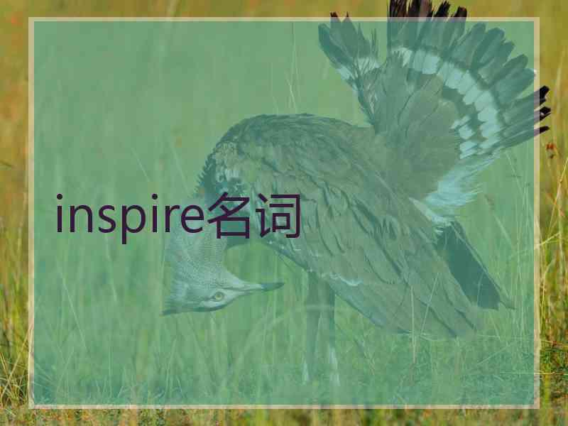 inspire名词