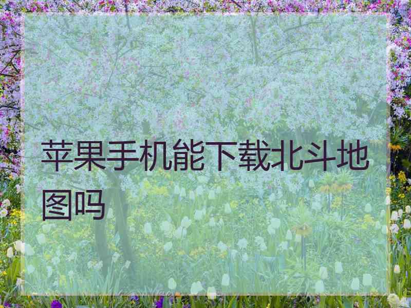 苹果手机能下载北斗地图吗