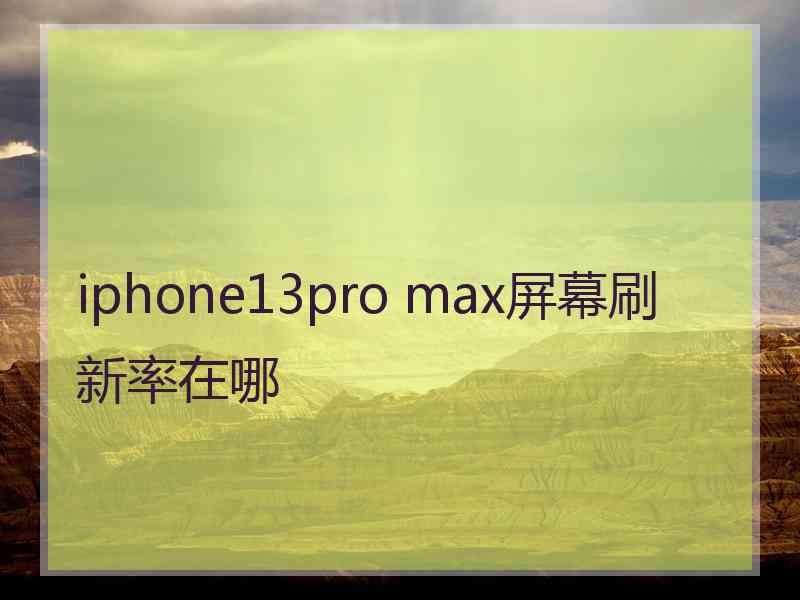 iphone13pro max屏幕刷新率在哪