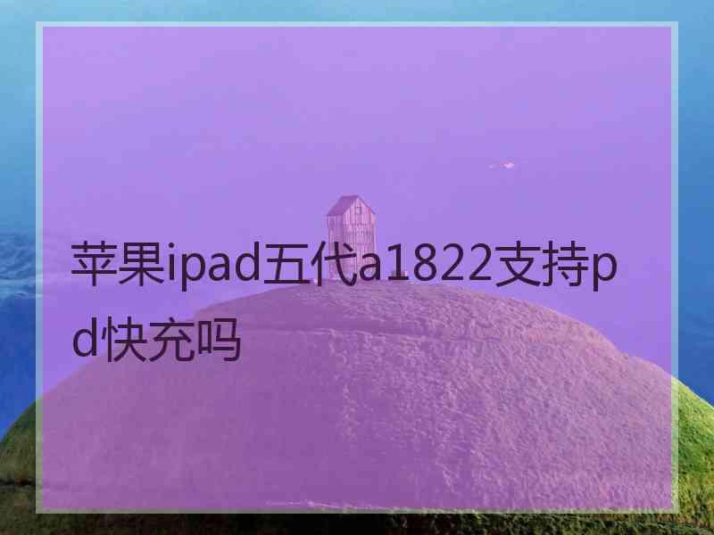 苹果ipad五代a1822支持pd快充吗