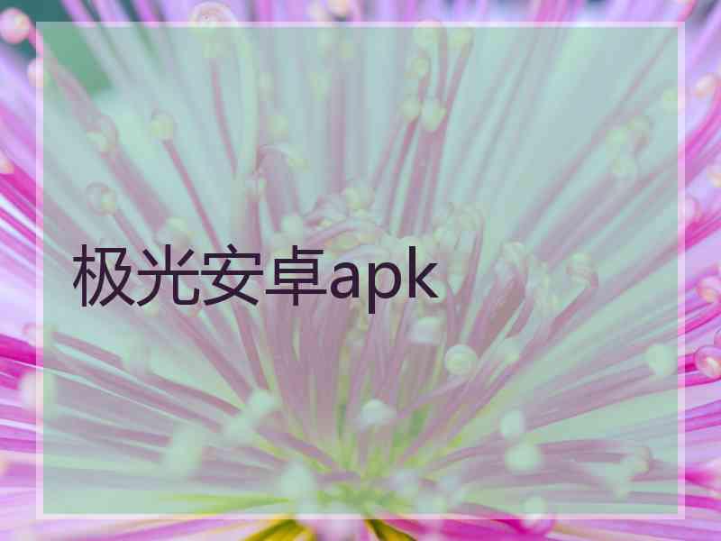 极光安卓apk