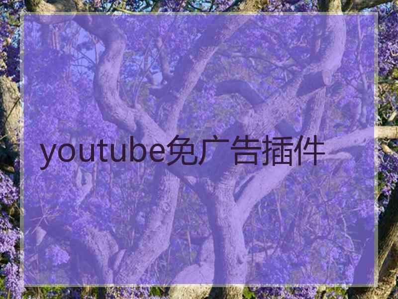 youtube免广告插件