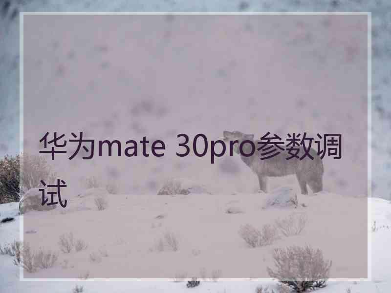 华为mate 30pro参数调试