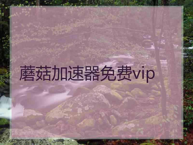 蘑菇加速器免费vip