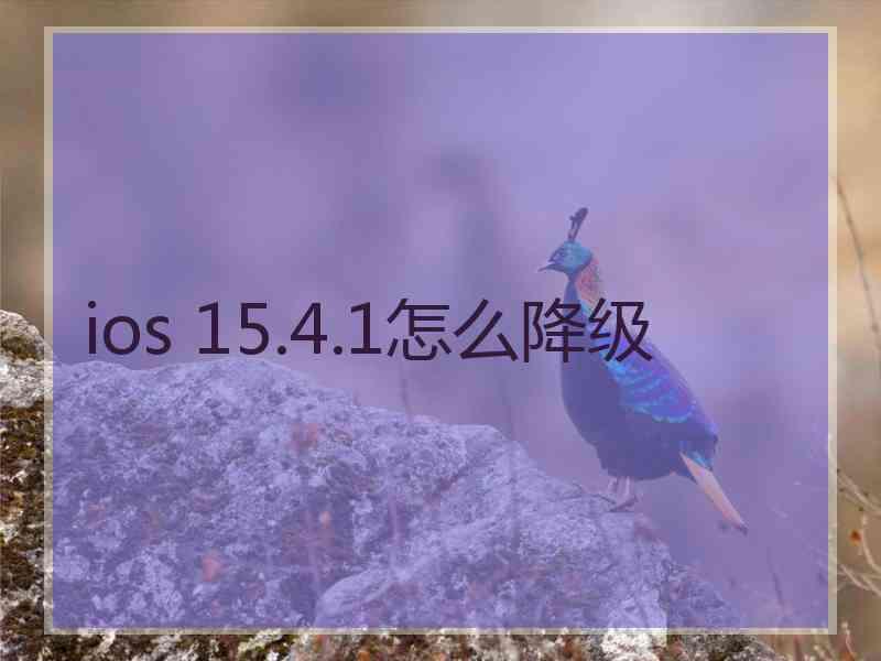 ios 15.4.1怎么降级