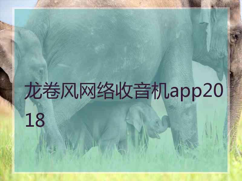 龙卷风网络收音机app2018