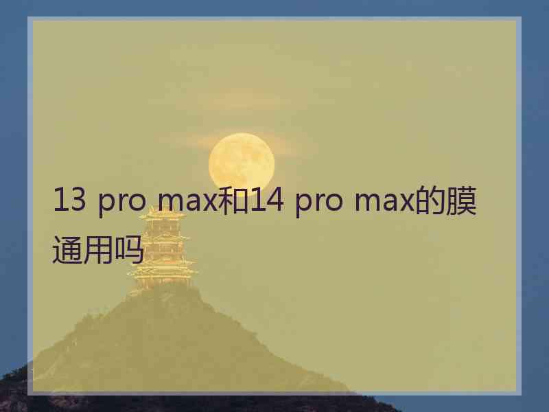 13 pro max和14 pro max的膜通用吗