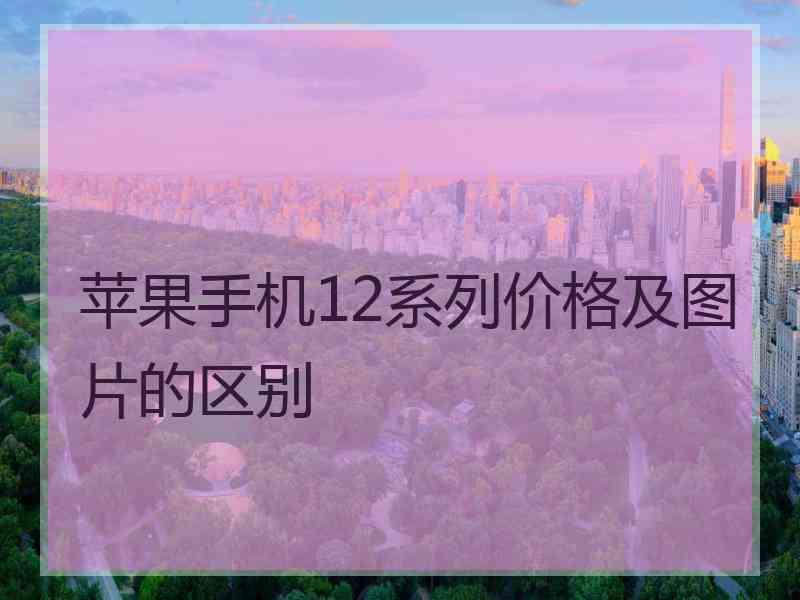 苹果手机12系列价格及图片的区别