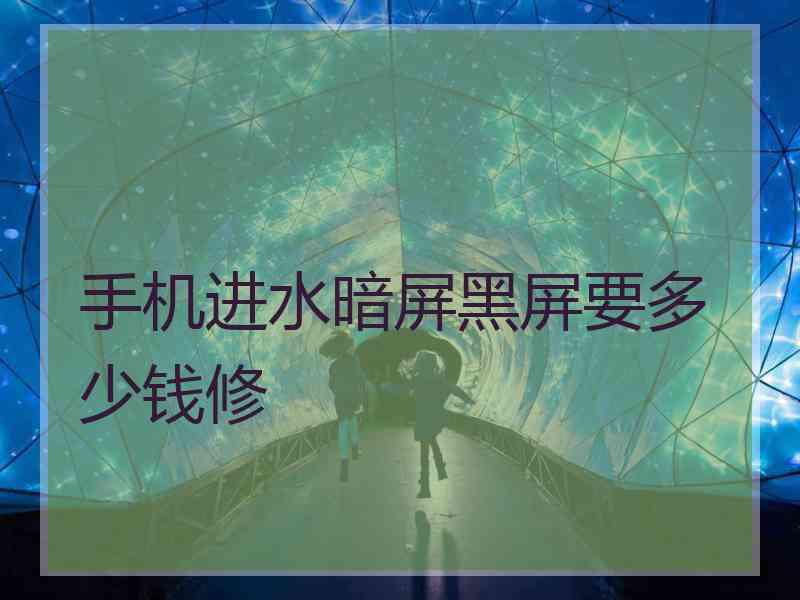 手机进水暗屏黑屏要多少钱修