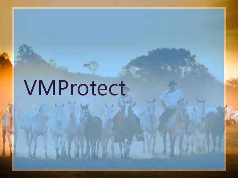 VMProtect