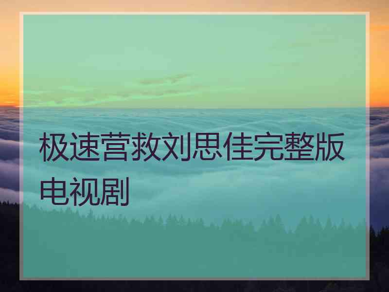 极速营救刘思佳完整版电视剧