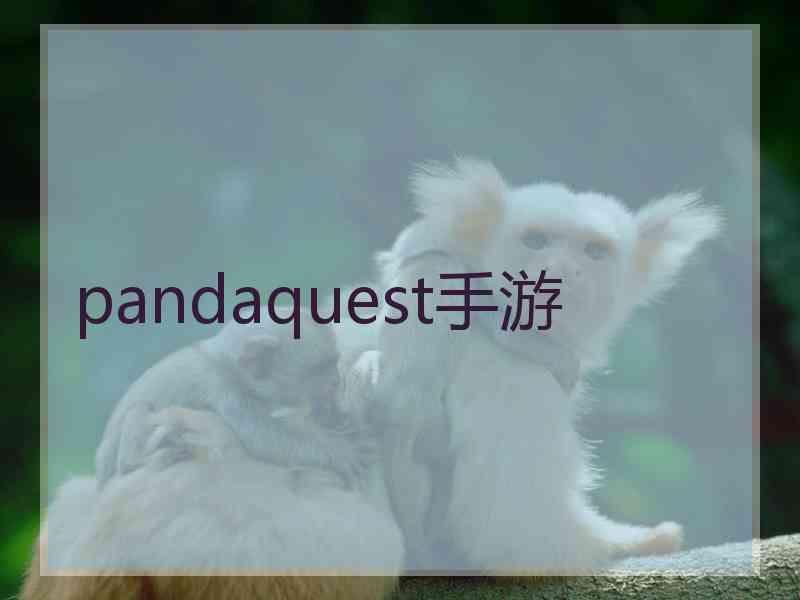 pandaquest手游