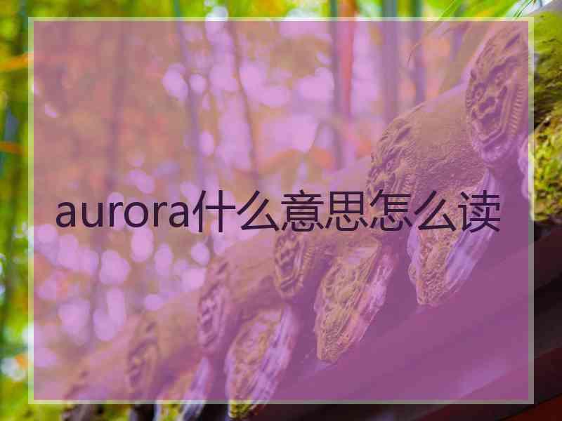 aurora什么意思怎么读