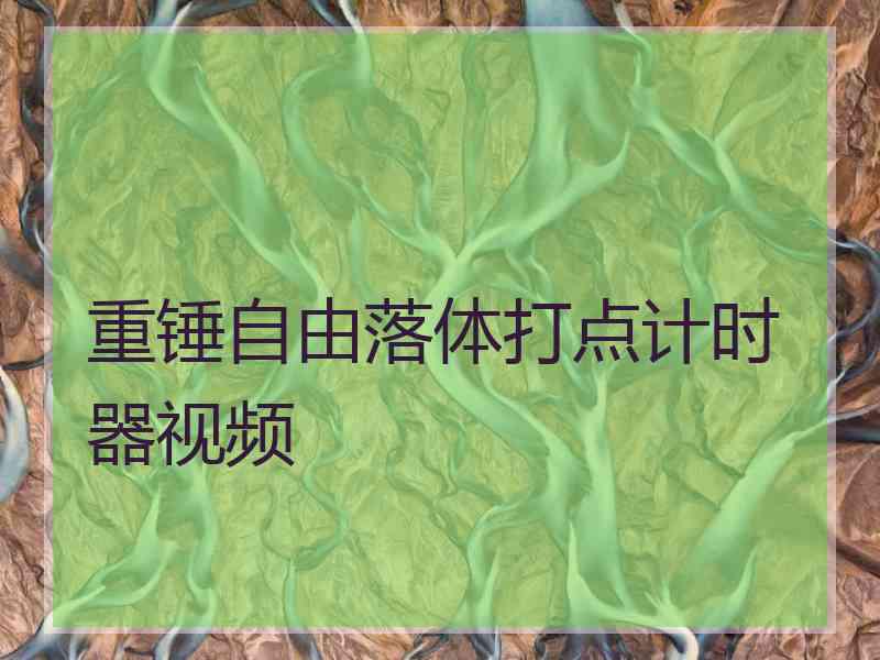 重锤自由落体打点计时器视频