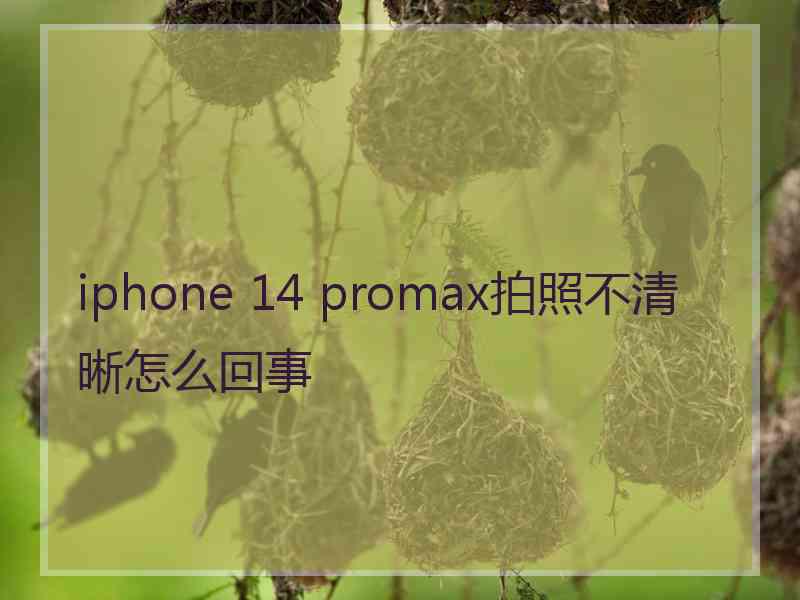 iphone 14 promax拍照不清晰怎么回事