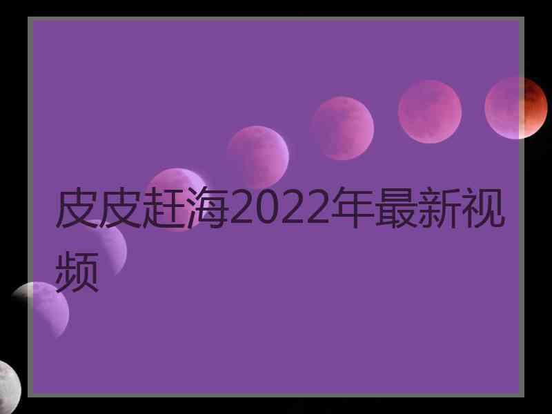 皮皮赶海2022年最新视频